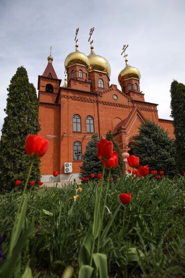 Весна в Краснодарском крае