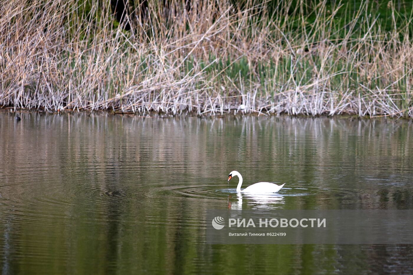 Весна в Краснодарском крае