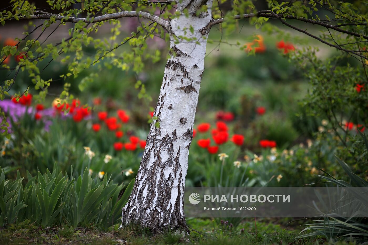 Весна в Краснодарском крае