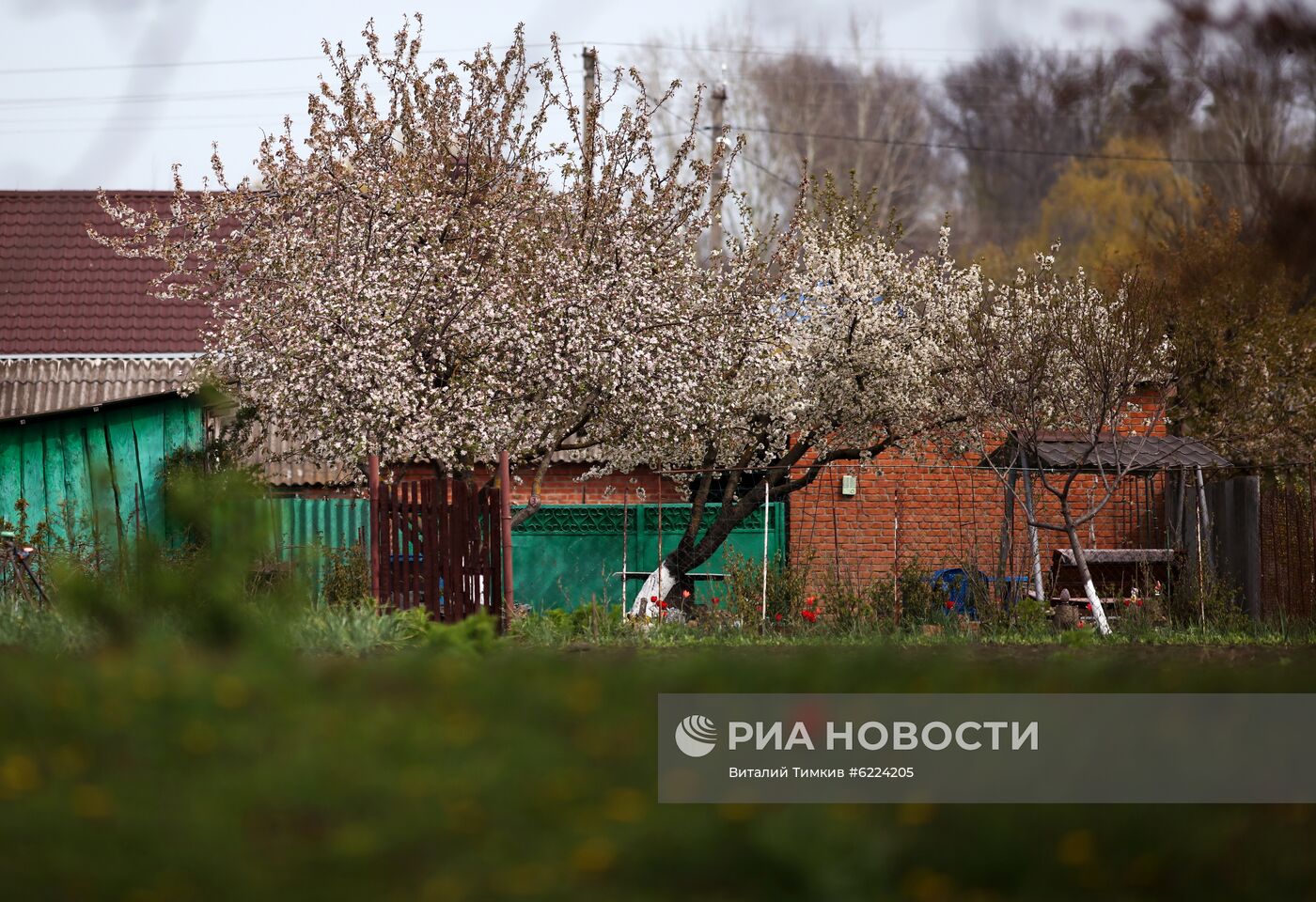 Весна в Краснодарском крае | РИА Новости Медиабанк