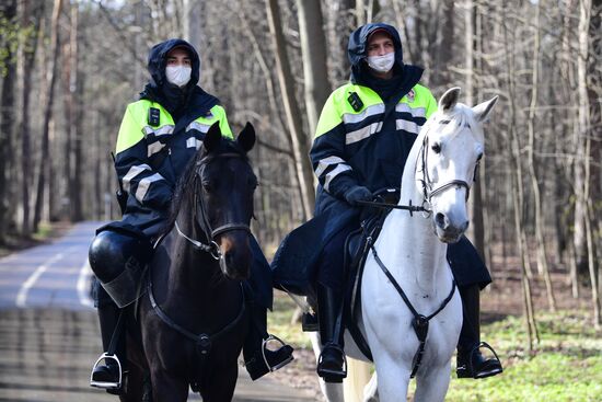 Патрулирование конной полицией улиц в Москве