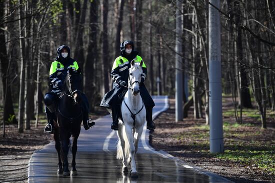 Патрулирование конной полицией улиц в Москве