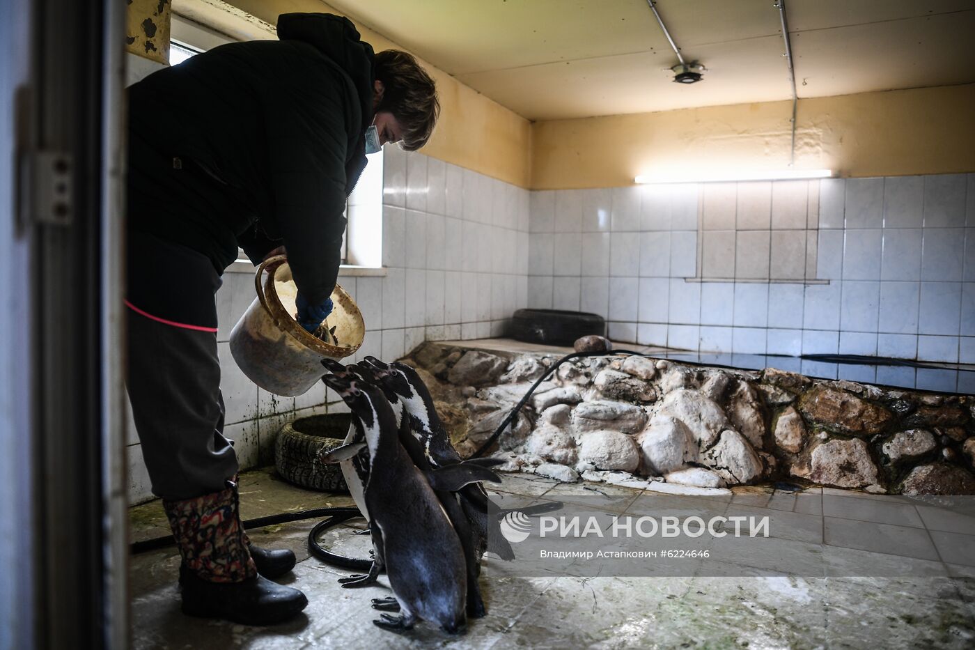 Крупнейший в России парк птиц "Воробьи" попросил о помощи в содержании питомцев