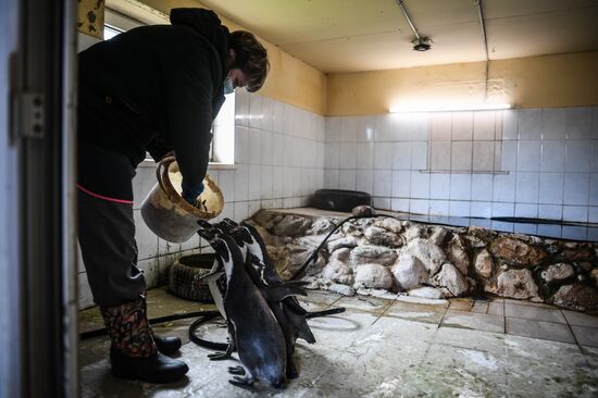 Крупнейший в России парк птиц "Воробьи" попросил о помощи в содержании питомцев