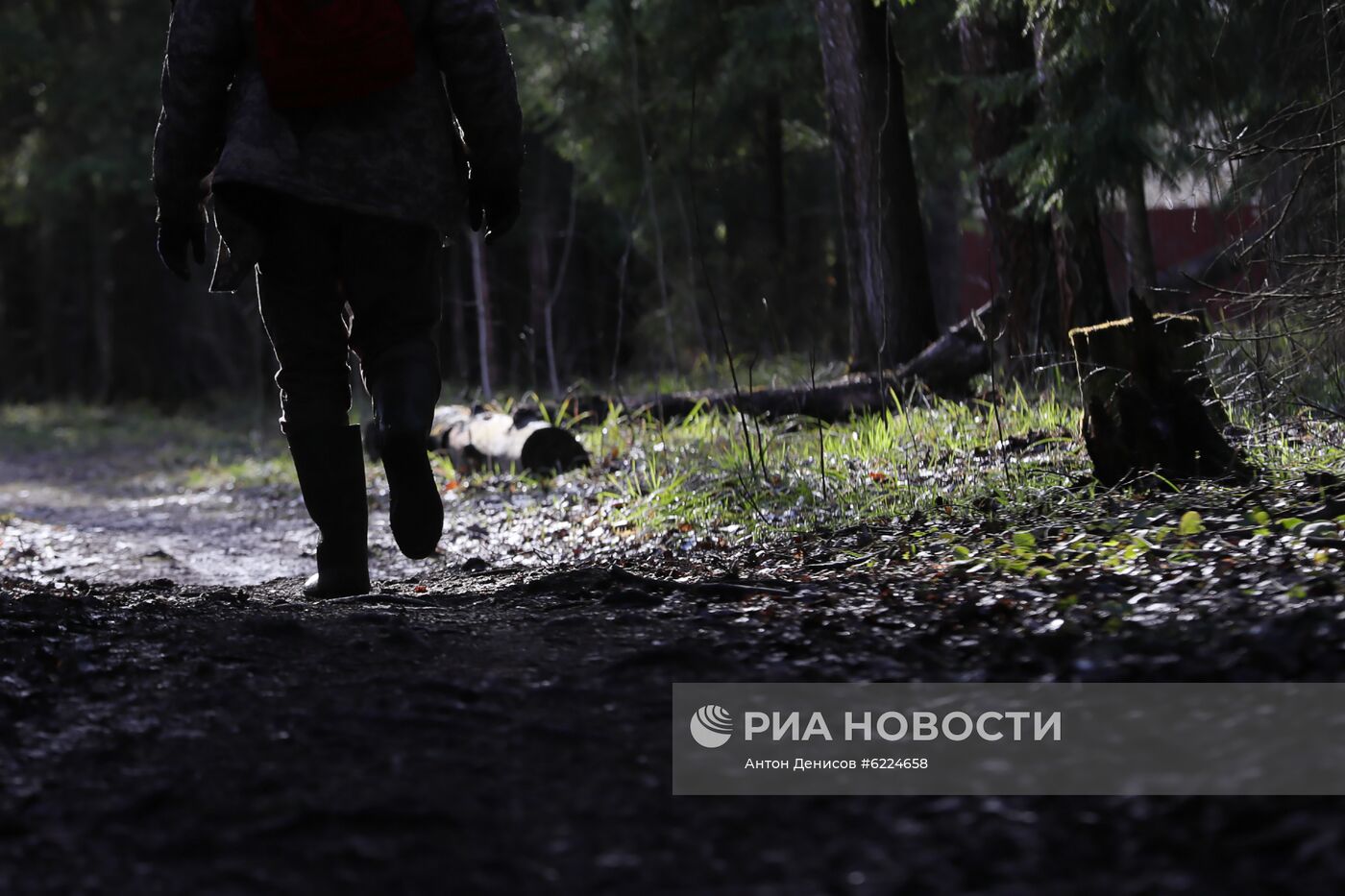 Житель Москвы во время самоизоляции на даче в Подмосковье