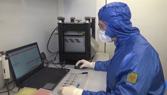 Работа российской полевой биолаборатории в Италии