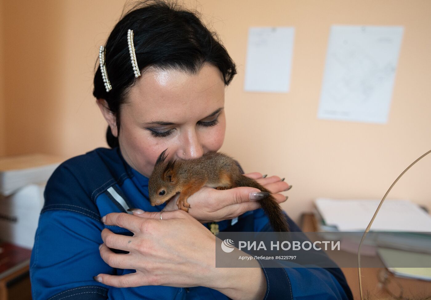 В Сочи сотрудница парка "усыновила" новорожденных бельчат