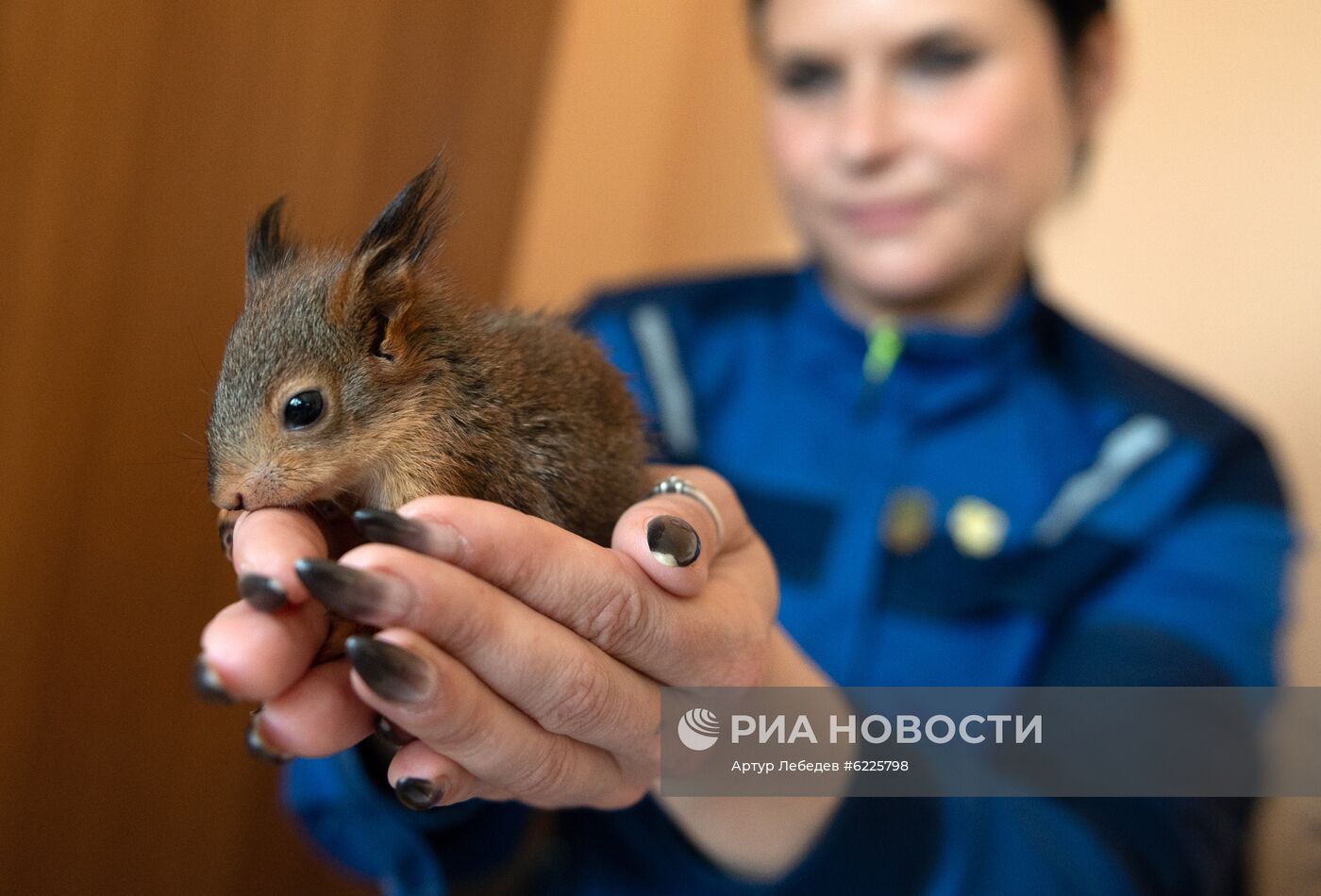 В Сочи сотрудница парка "усыновила" новорожденных бельчат