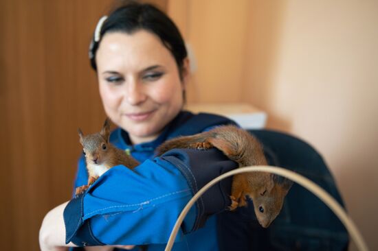 В Сочи сотрудница парка "усыновила" новорожденных бельчат