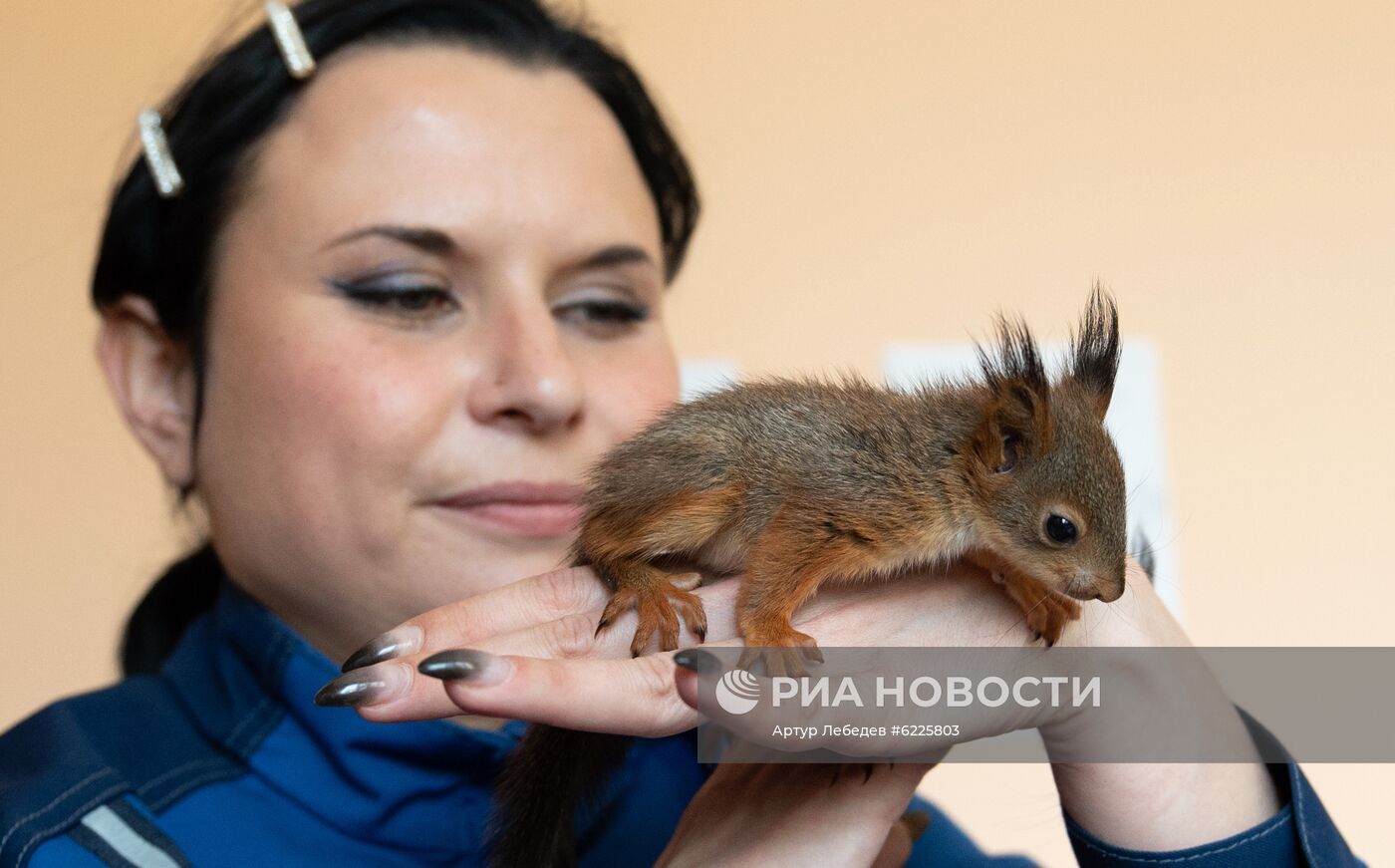 В Сочи сотрудница парка "усыновила" новорожденных бельчат