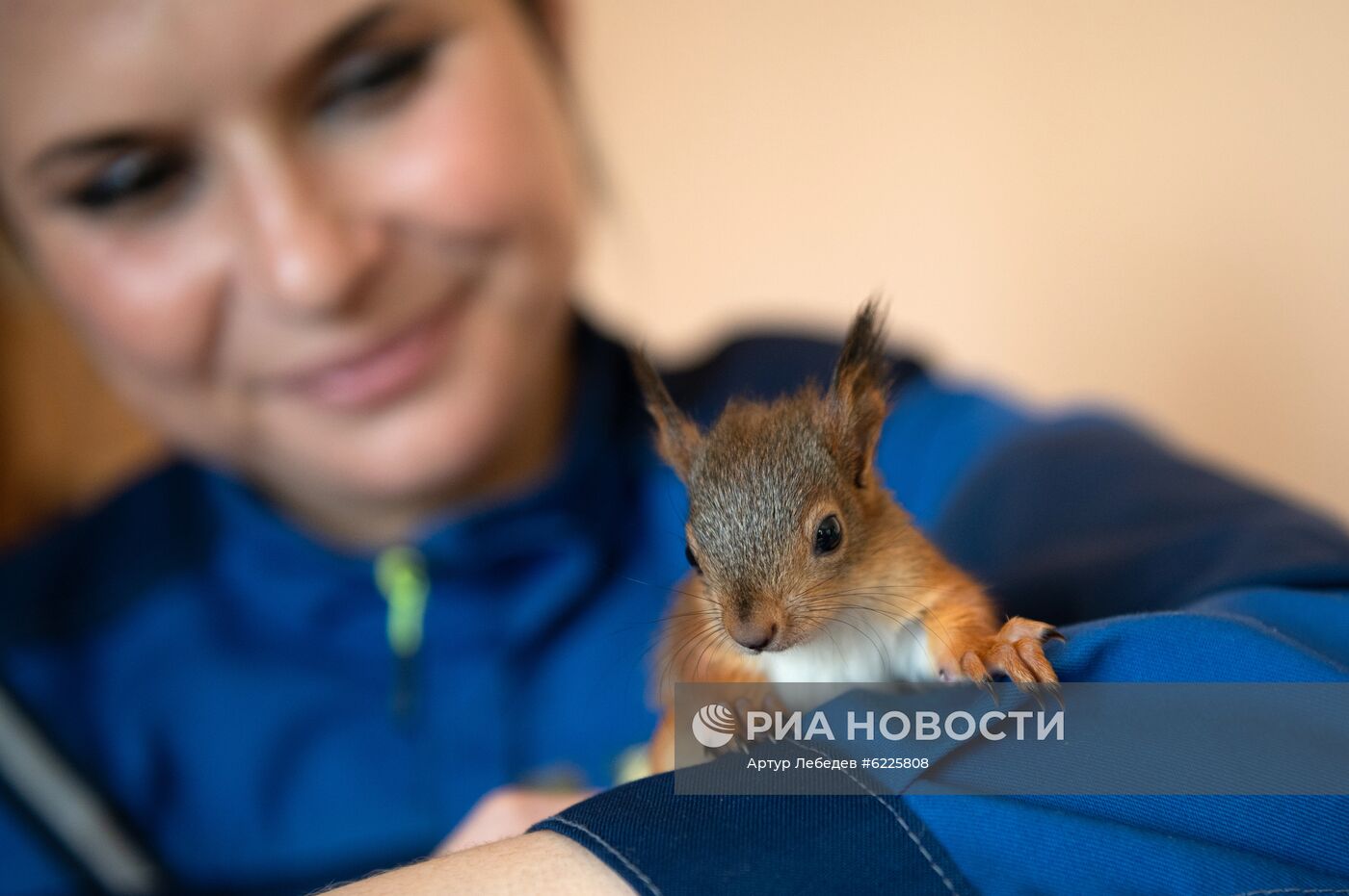 В Сочи сотрудница парка "усыновила" новорожденных бельчат