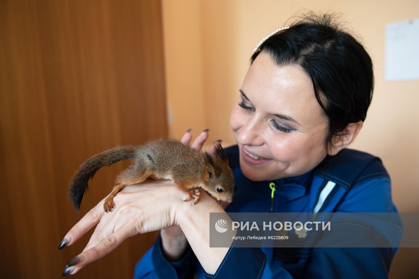 В Сочи сотрудница парка "усыновила" новорожденных бельчат