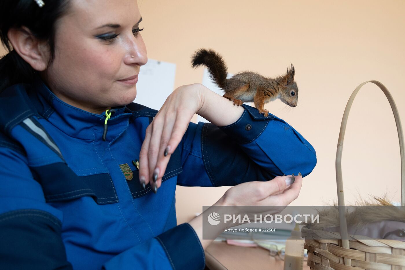 В Сочи сотрудница парка "усыновила" новорожденных бельчат