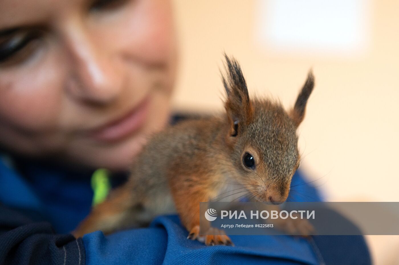 В Сочи сотрудница парка "усыновила" новорожденных бельчат