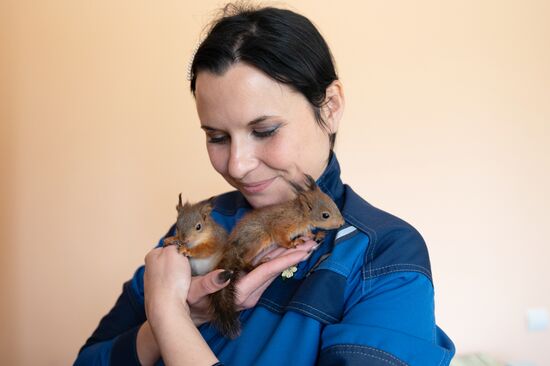 В Сочи сотрудница парка "усыновила" новорожденных бельчат