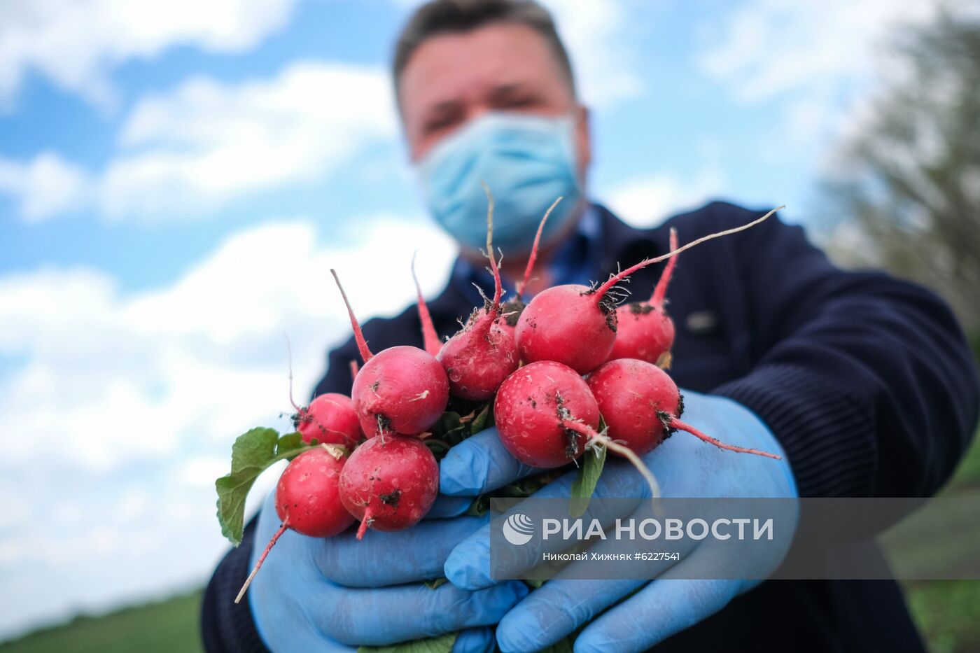 Тепличное хозяйство в Краснодарском крае