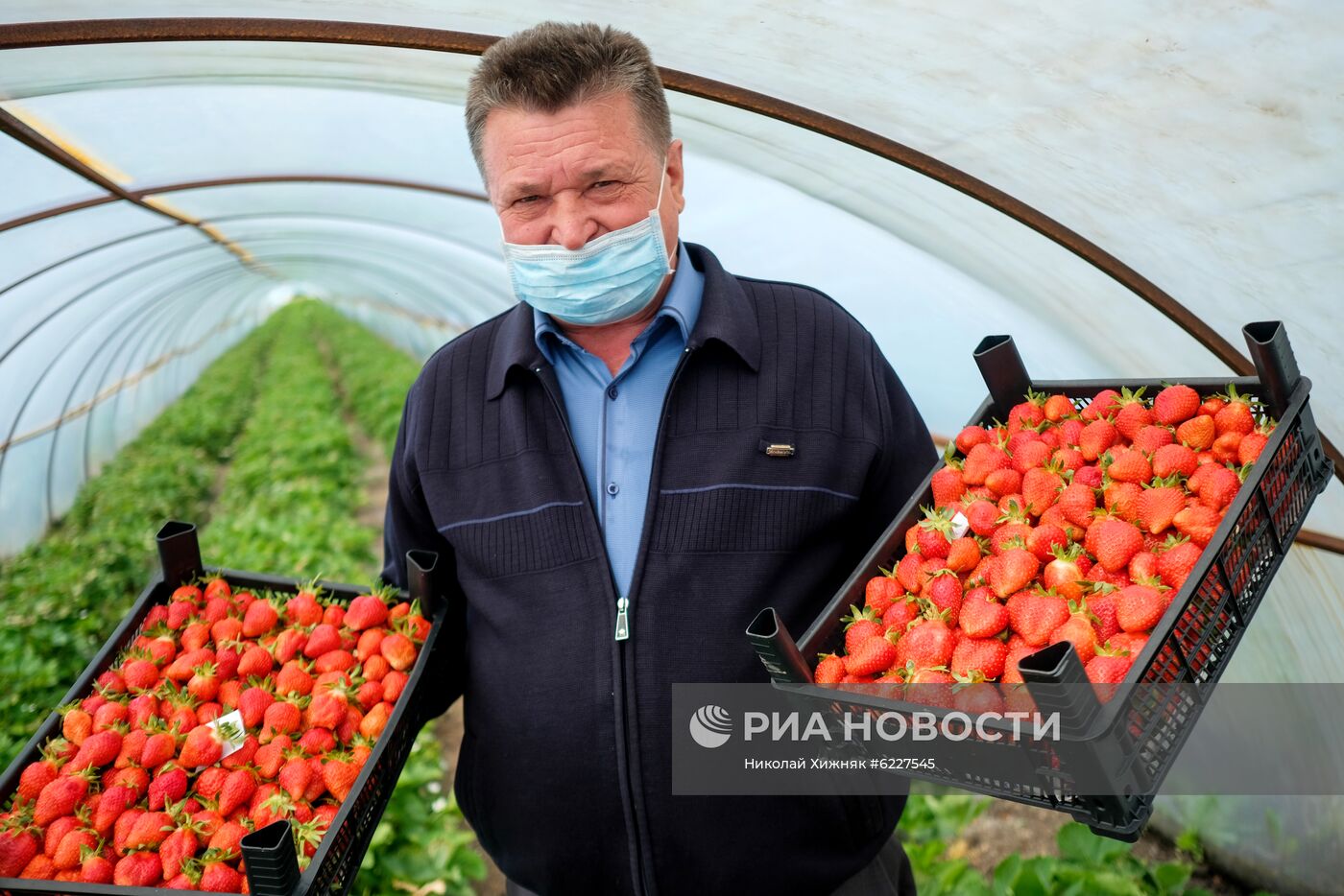 Тепличное хозяйство в Краснодарском крае