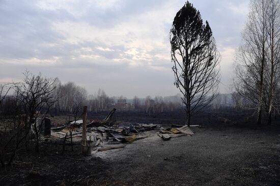 Пожары в Новосибирской области
