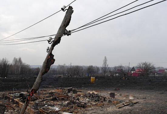 Пожары в Новосибирской области