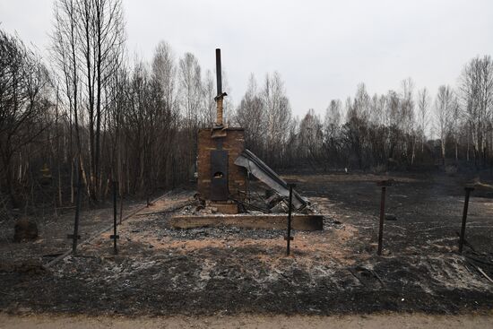 Пожары в Новосибирской области