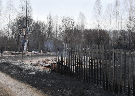Пожары в Новосибирской области