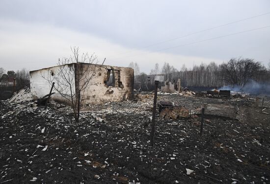 Пожары в Новосибирской области