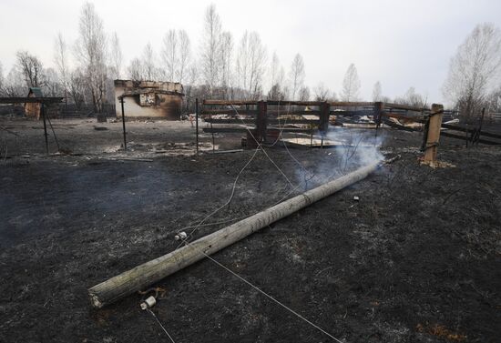 Пожары в Новосибирской области