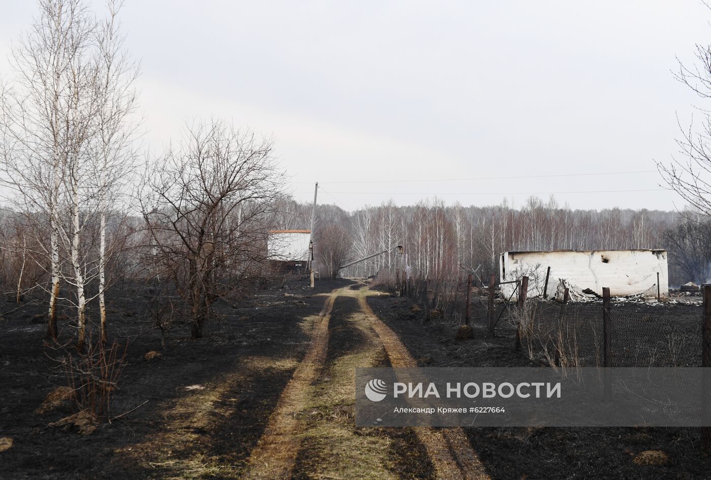 Пожары в Новосибирской области