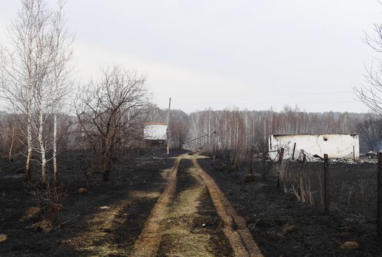 Пожары в Новосибирской области
