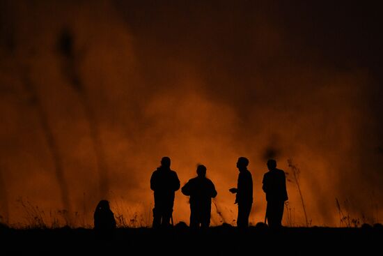 Пожары в Новосибирской области