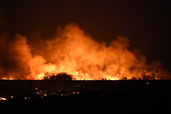 Пожары в Новосибирской области