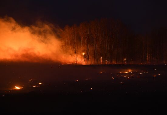 Пожары в Новосибирской области