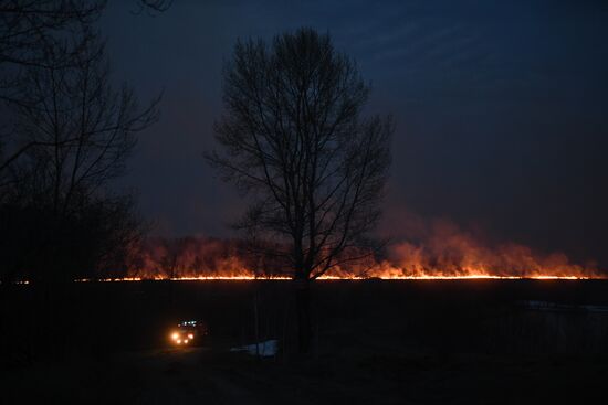 Пожары в Новосибирской области