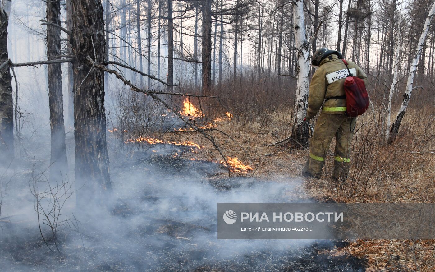 Лесные пожары в Забайкальском крае