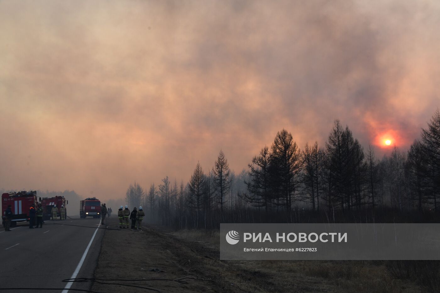 Лесные пожары в Забайкальском крае