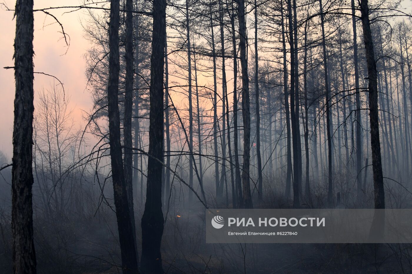 Лесные пожары в Забайкальском крае