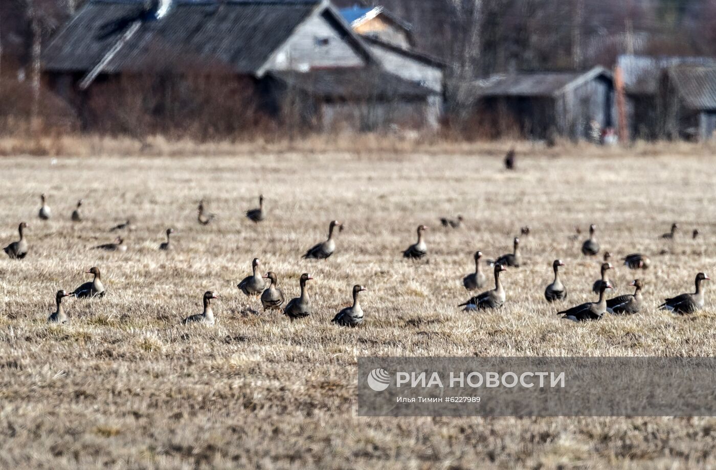 Регионы России. Карелия