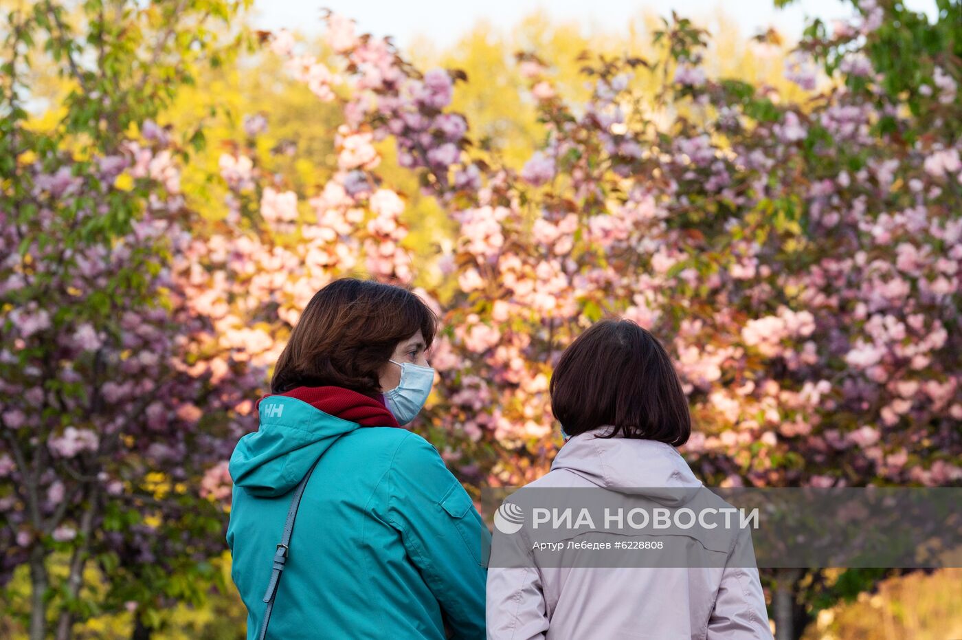 Черешневый сад в Сочи