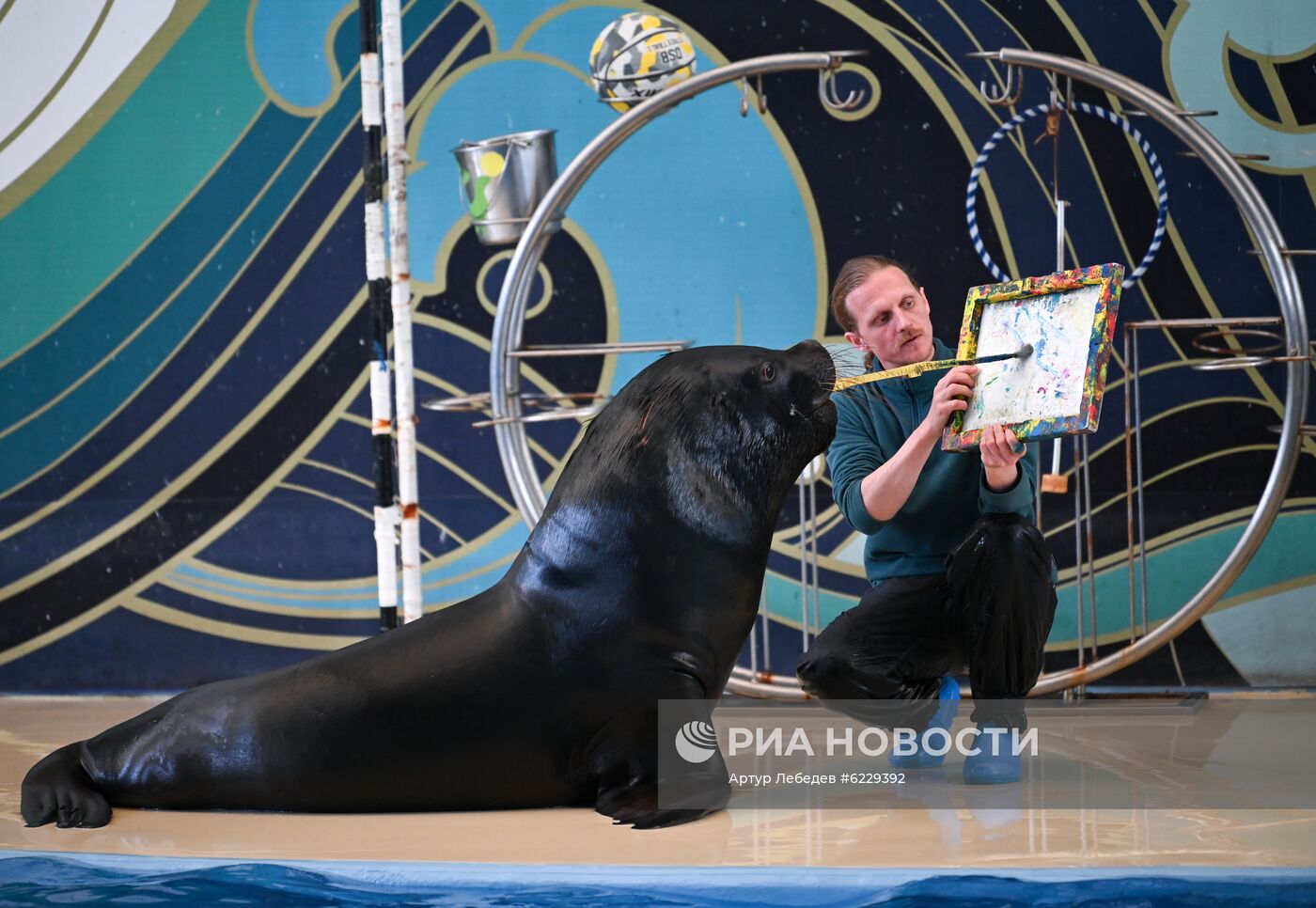 Работа большого Сочинского дельфинария и зоопарка