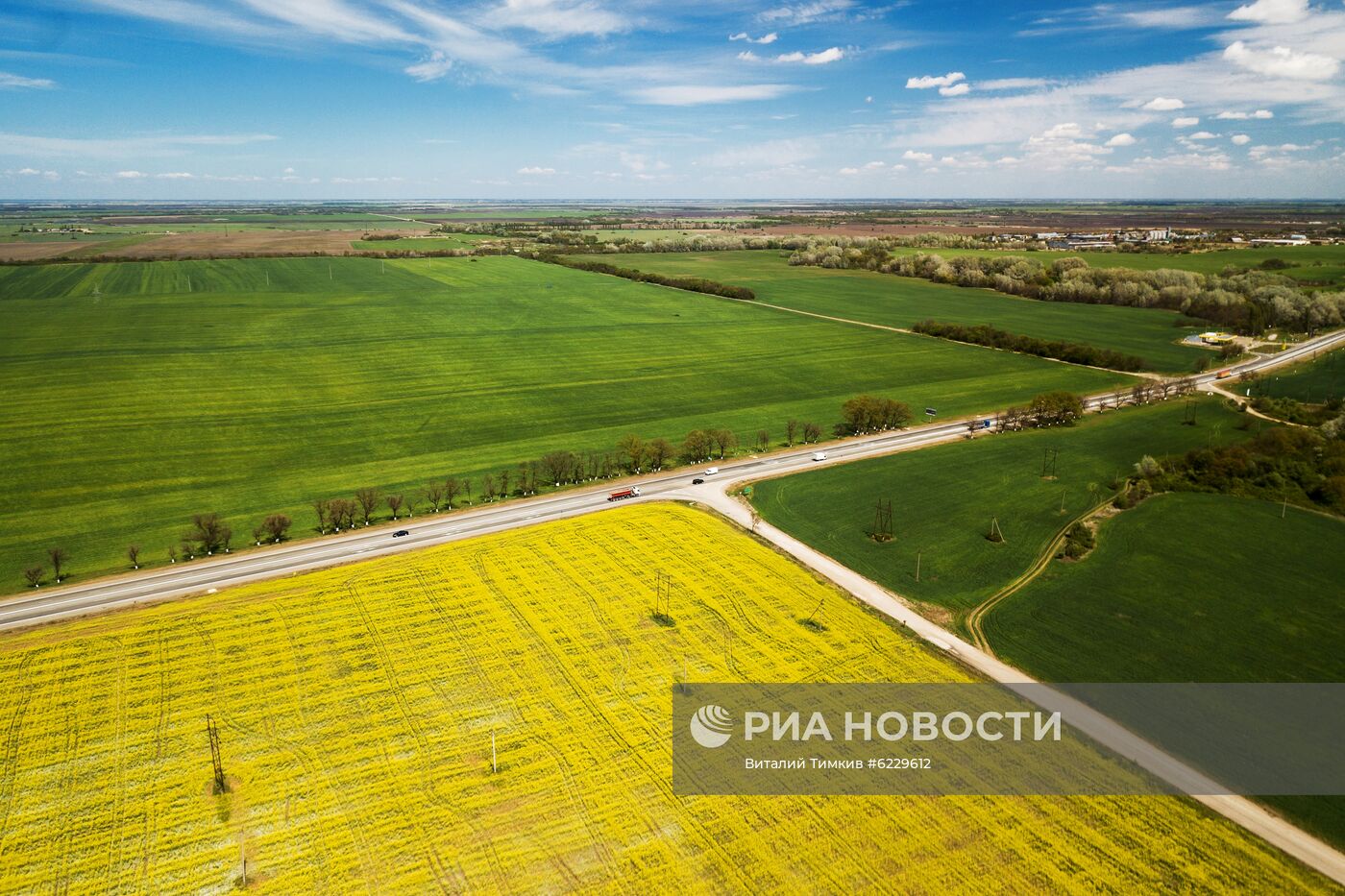 Цветение рапса в Краснодарском крае