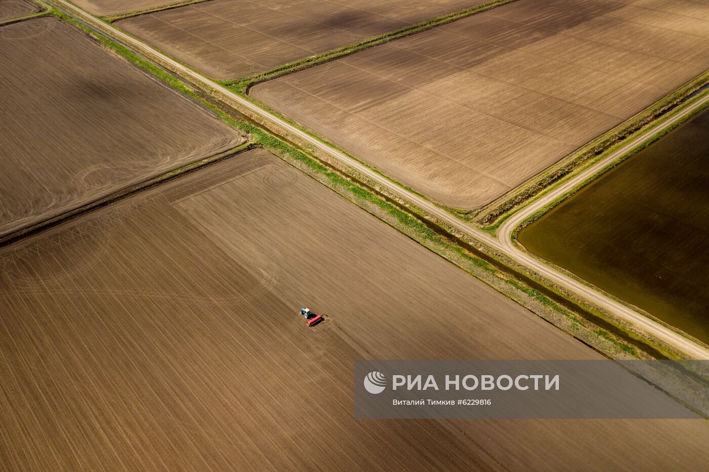 Посевная риса в Краснодарском крае