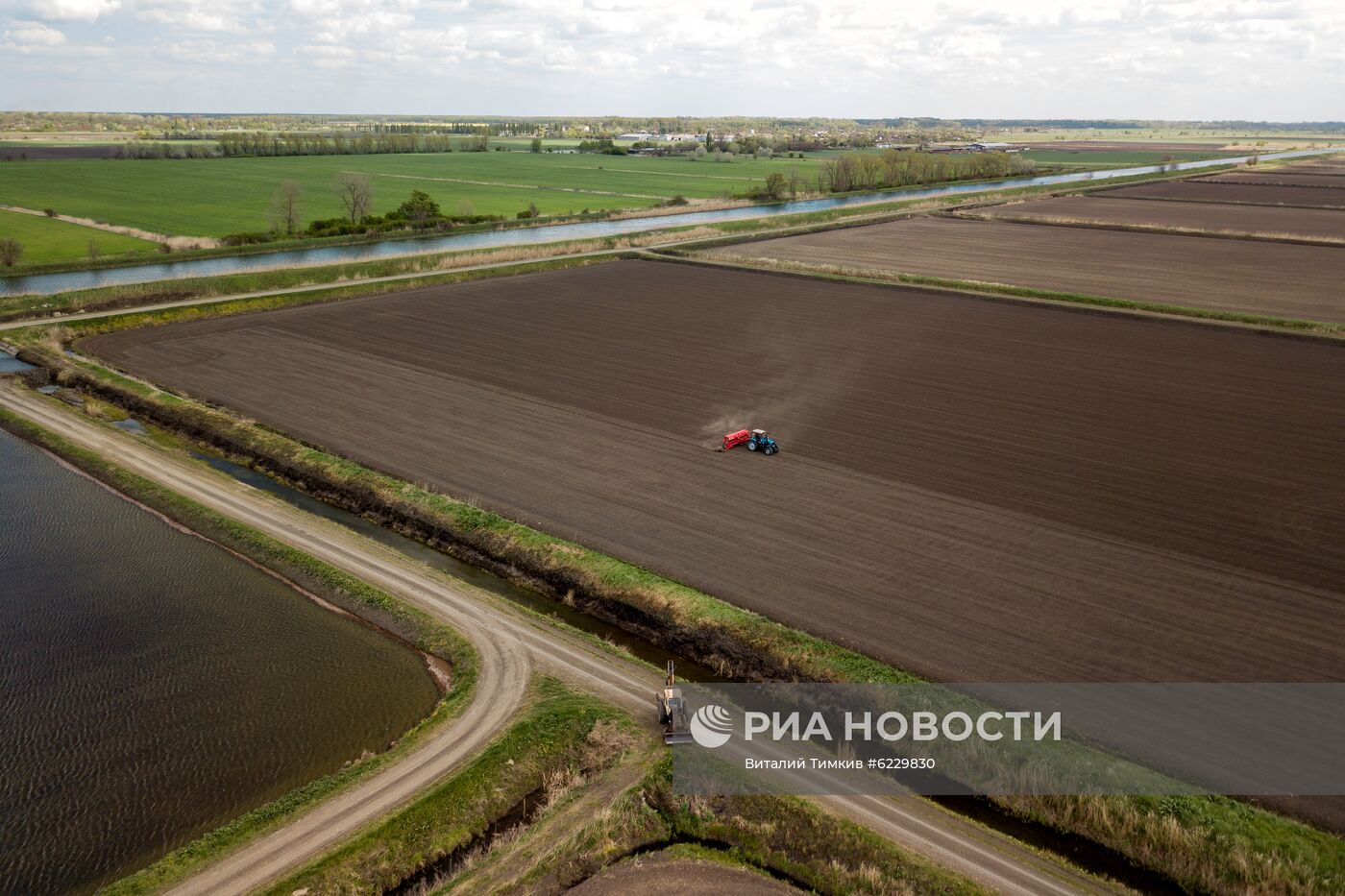 Посевная риса в Краснодарском крае