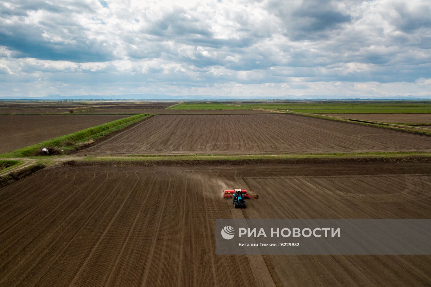Посевная риса в Краснодарском крае