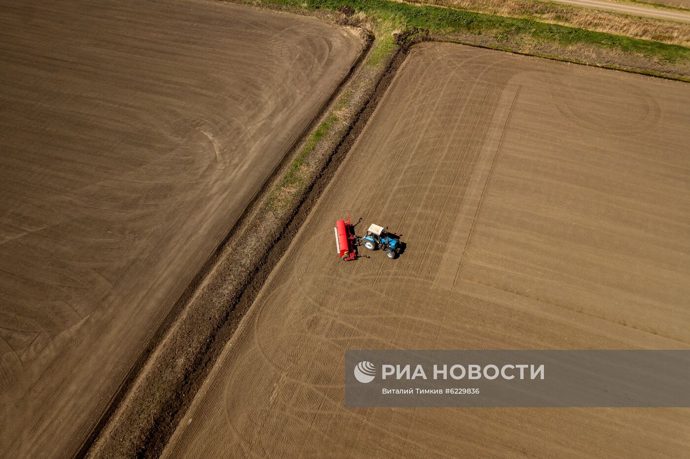 Посевная риса в Краснодарском крае