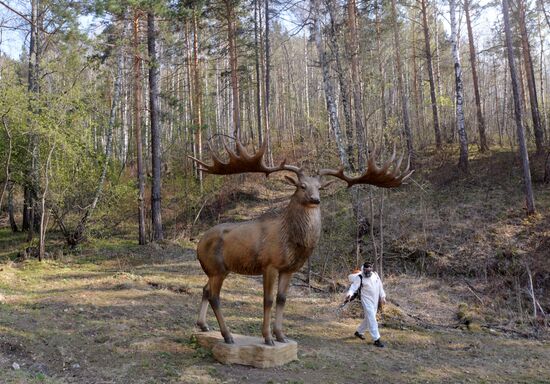 Профилактика распространения клещей в зоопарке "Роев ручей"