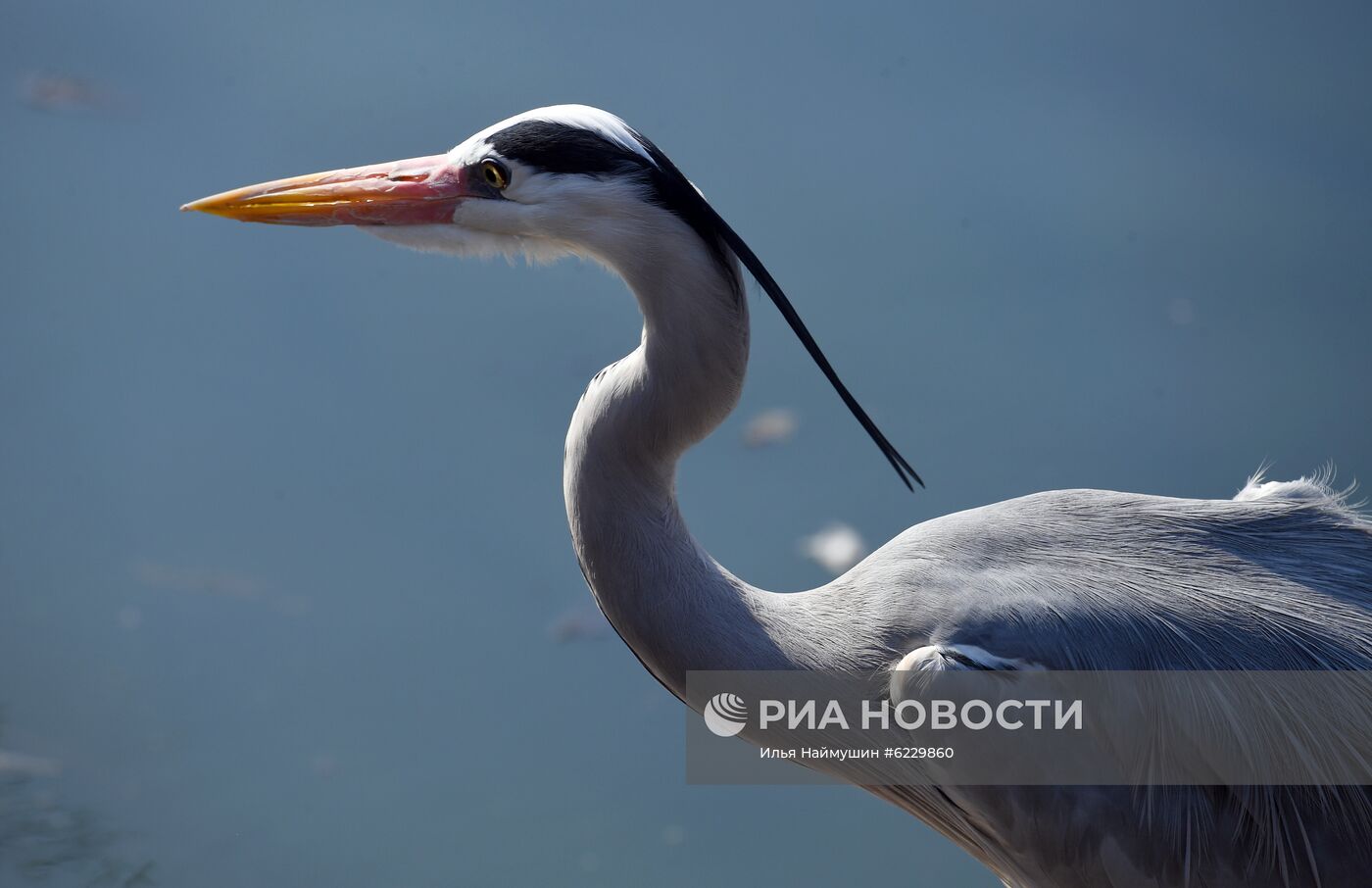 Профилактика распространения клещей в зоопарке "Роев ручей"