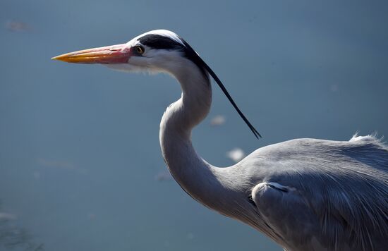 Профилактика распространения клещей в зоопарке "Роев ручей"