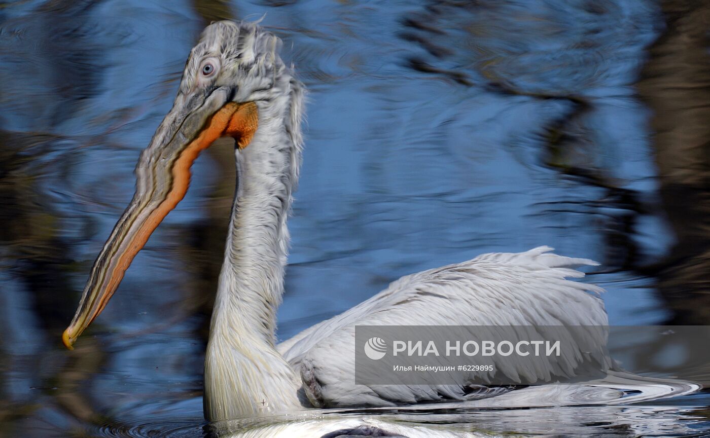 Профилактика распространения клещей в зоопарке "Роев ручей"