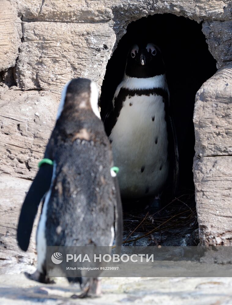 Профилактика распространения клещей в зоопарке "Роев ручей"