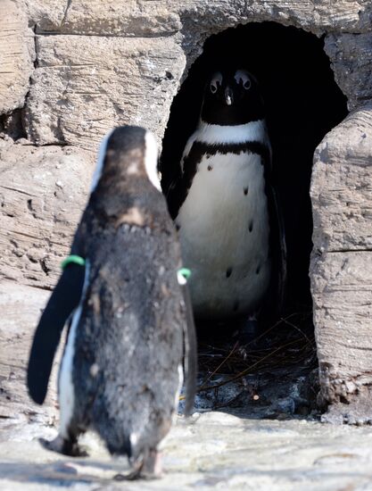 Профилактика распространения клещей в зоопарке "Роев ручей"